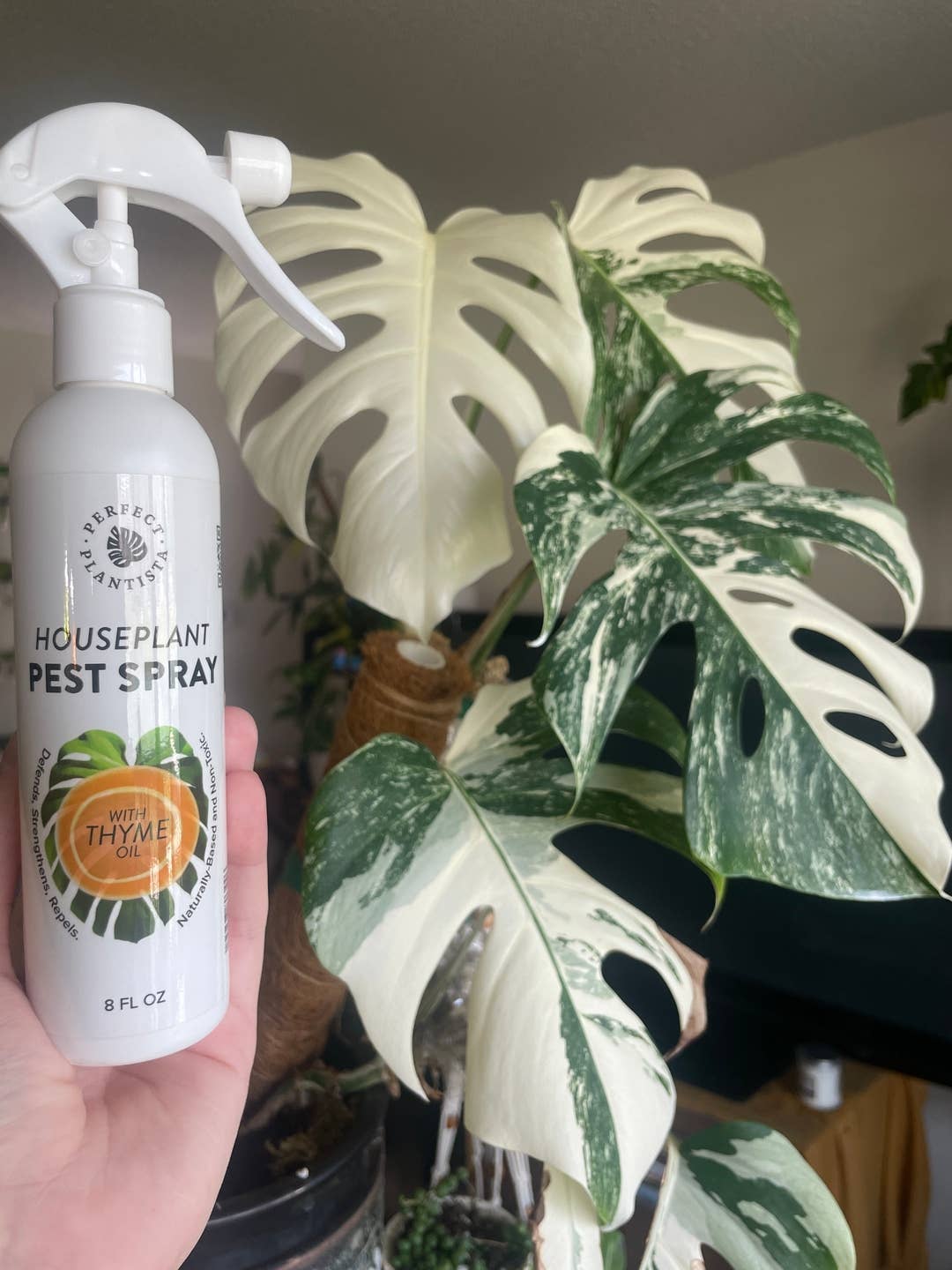 Natural + Non-Toxic Houseplant Pest Spray: 16oz
