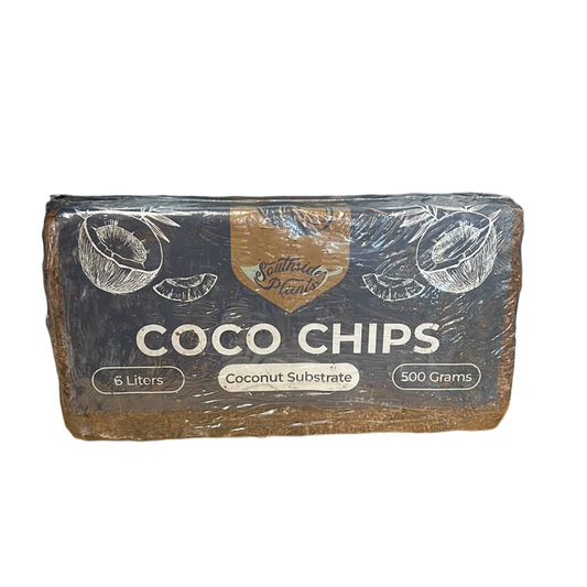 Coco Chips 6L