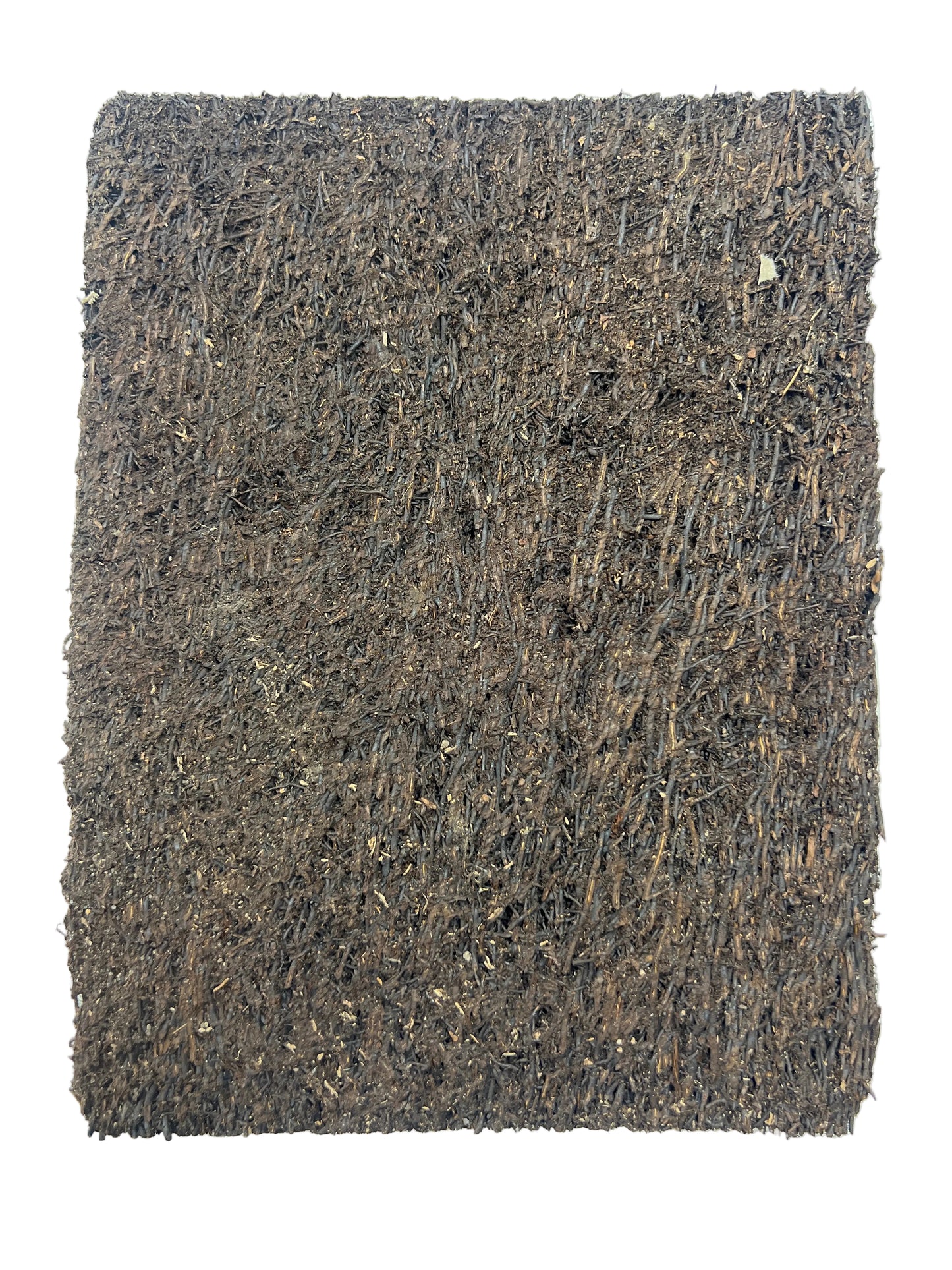 Fern Fiber Plaque 9”x7”
