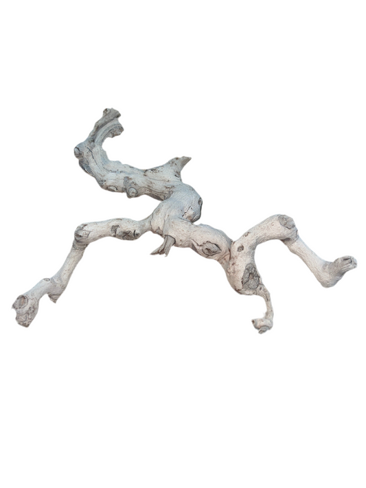 Sandblasted Grapevine
