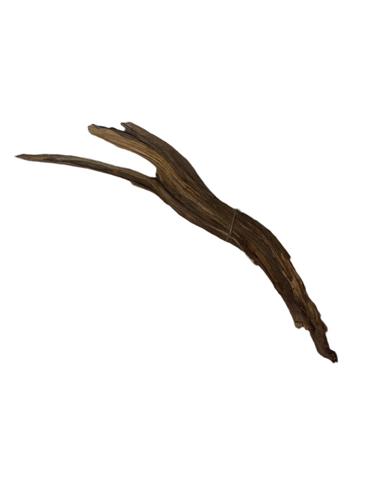 Rugged Manzanita- Small