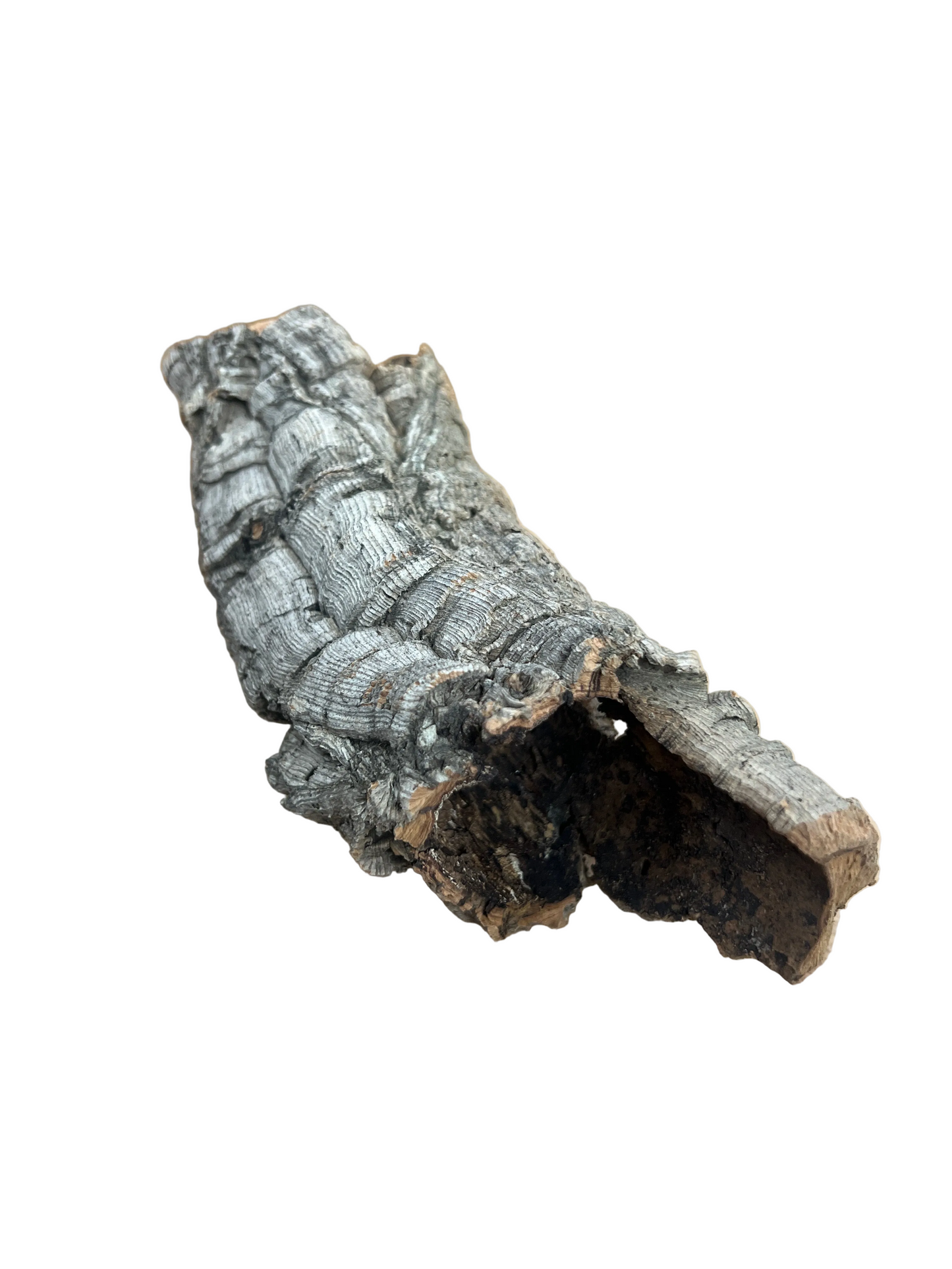 Cork Bark Tube- Small