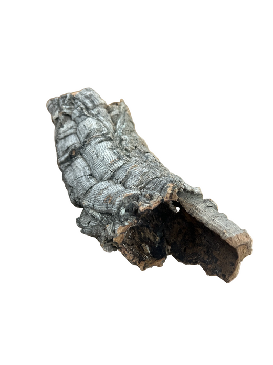 Cork Bark Tube- Small