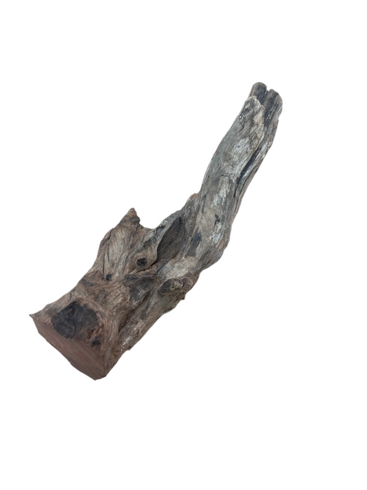 Iron Wood