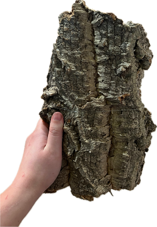Large Cork Bark Flat 16”-22”