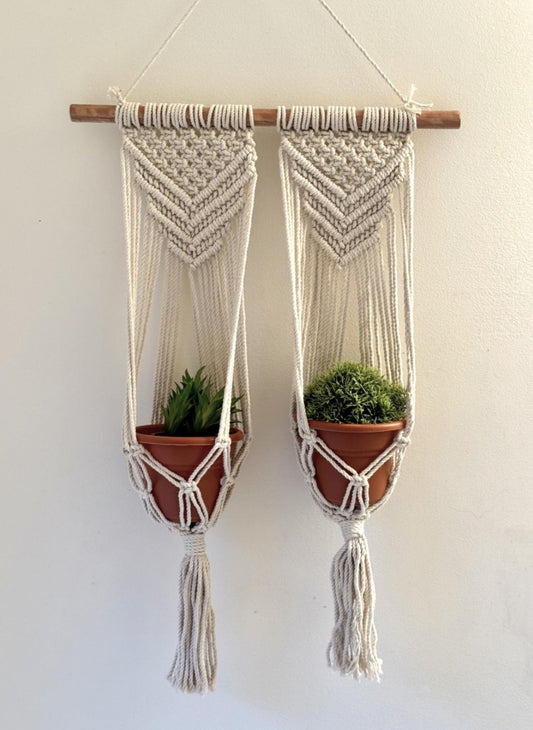 Double Pot and Wall Hanger