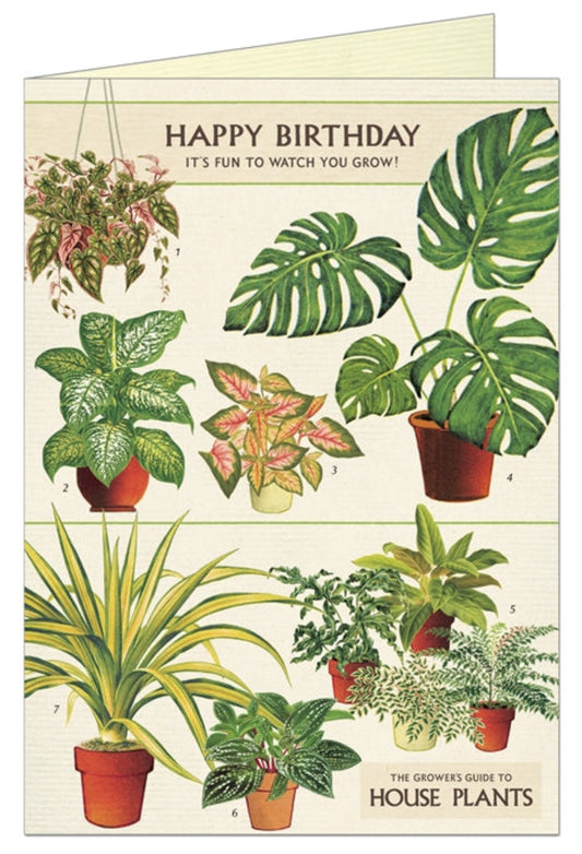 Happy Birthday Houseplants Single Greeting Card/Envelope