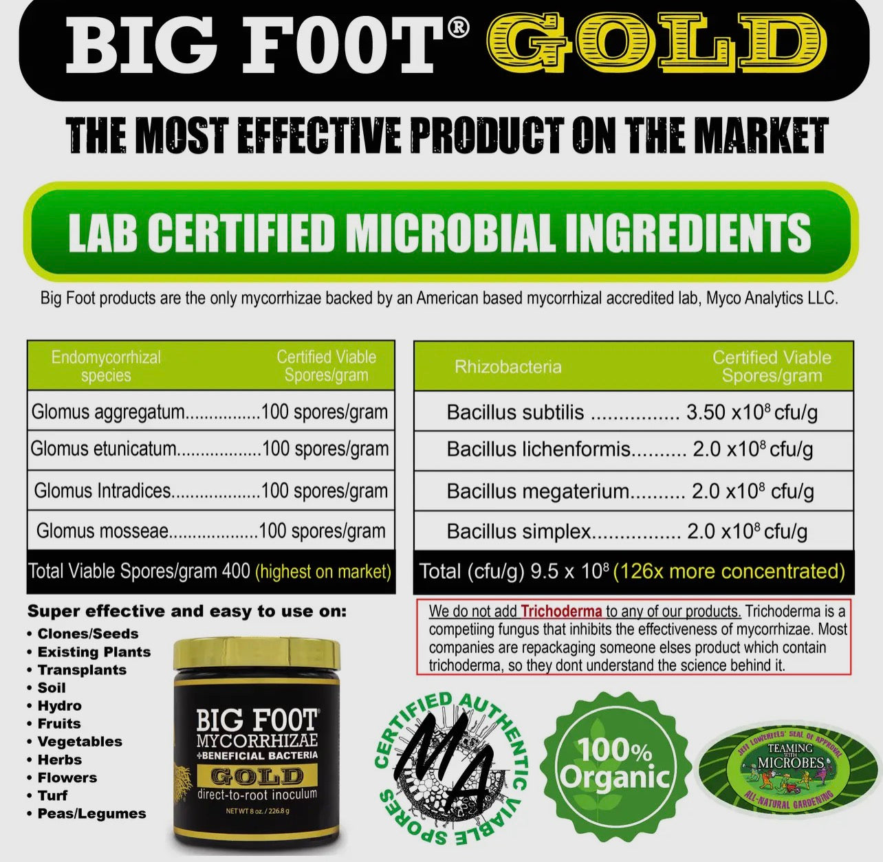 Big foot mycorrhizal fungi with beneficial bacteria