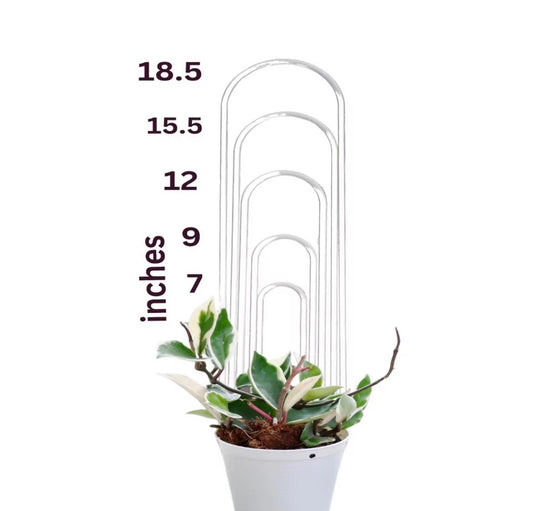 U Shape Trellis with Pointed End- 18”
