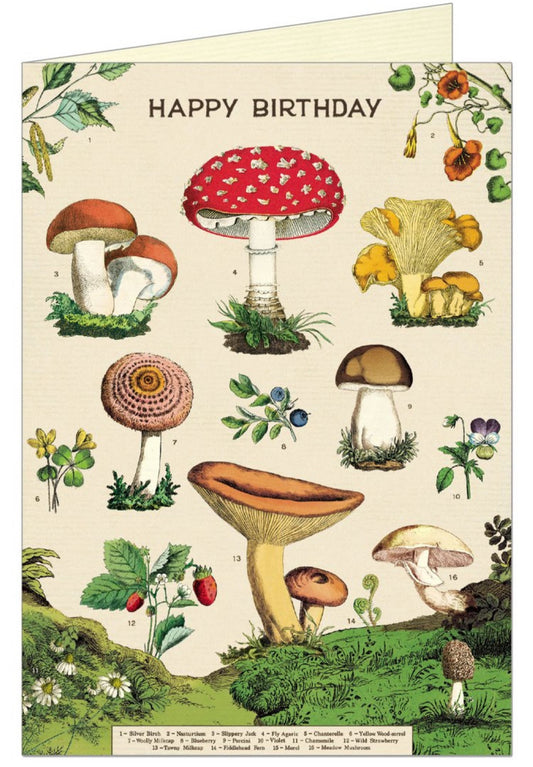 Happy Birthday Mushrooms Single Greeting Card/Envelope