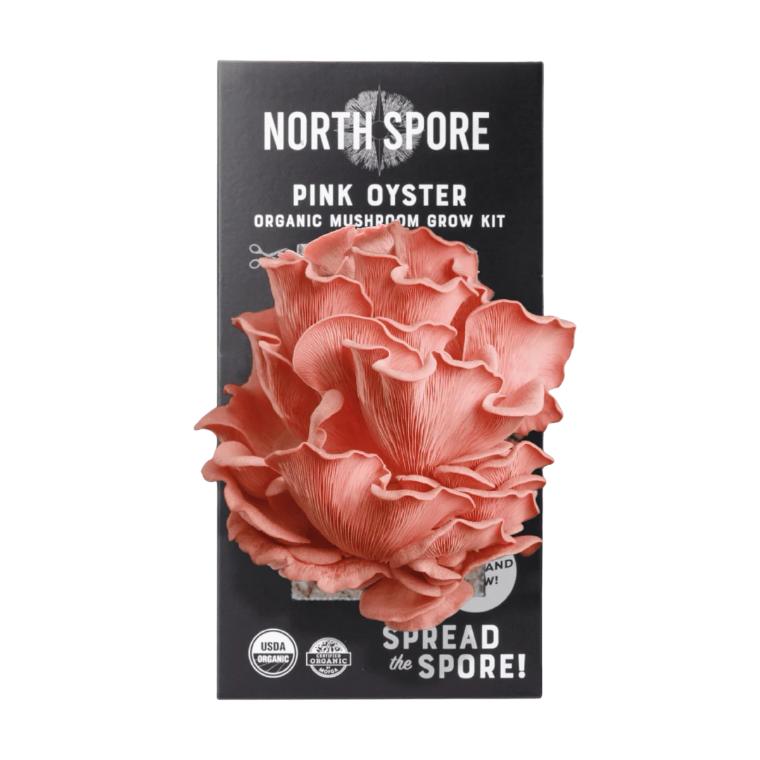 North Spore Oyster Grow Kit