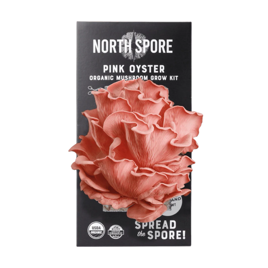Pink Oyster Grow Kit