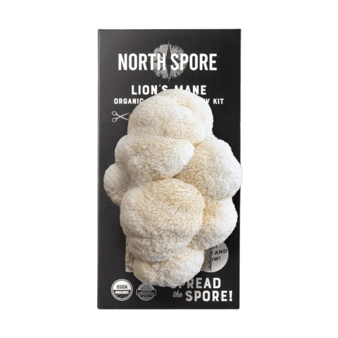 Lion’s Mane Grow Kit