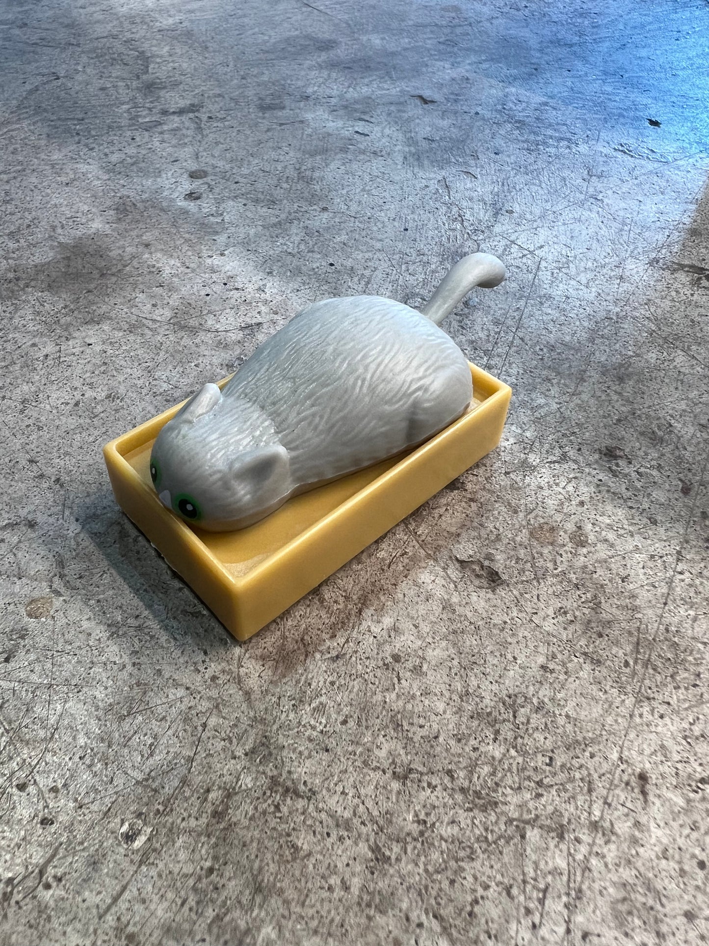 Racing Cats in a Box