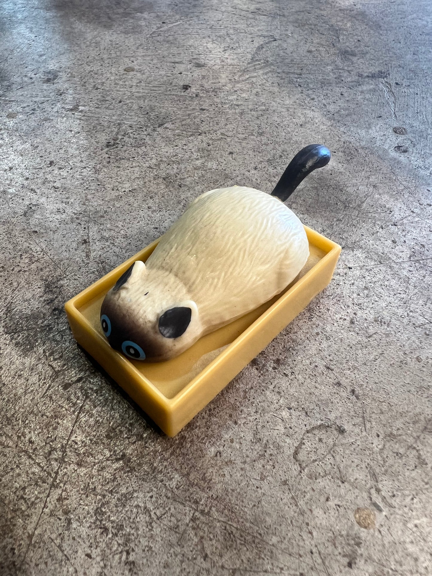 Racing Cats in a Box