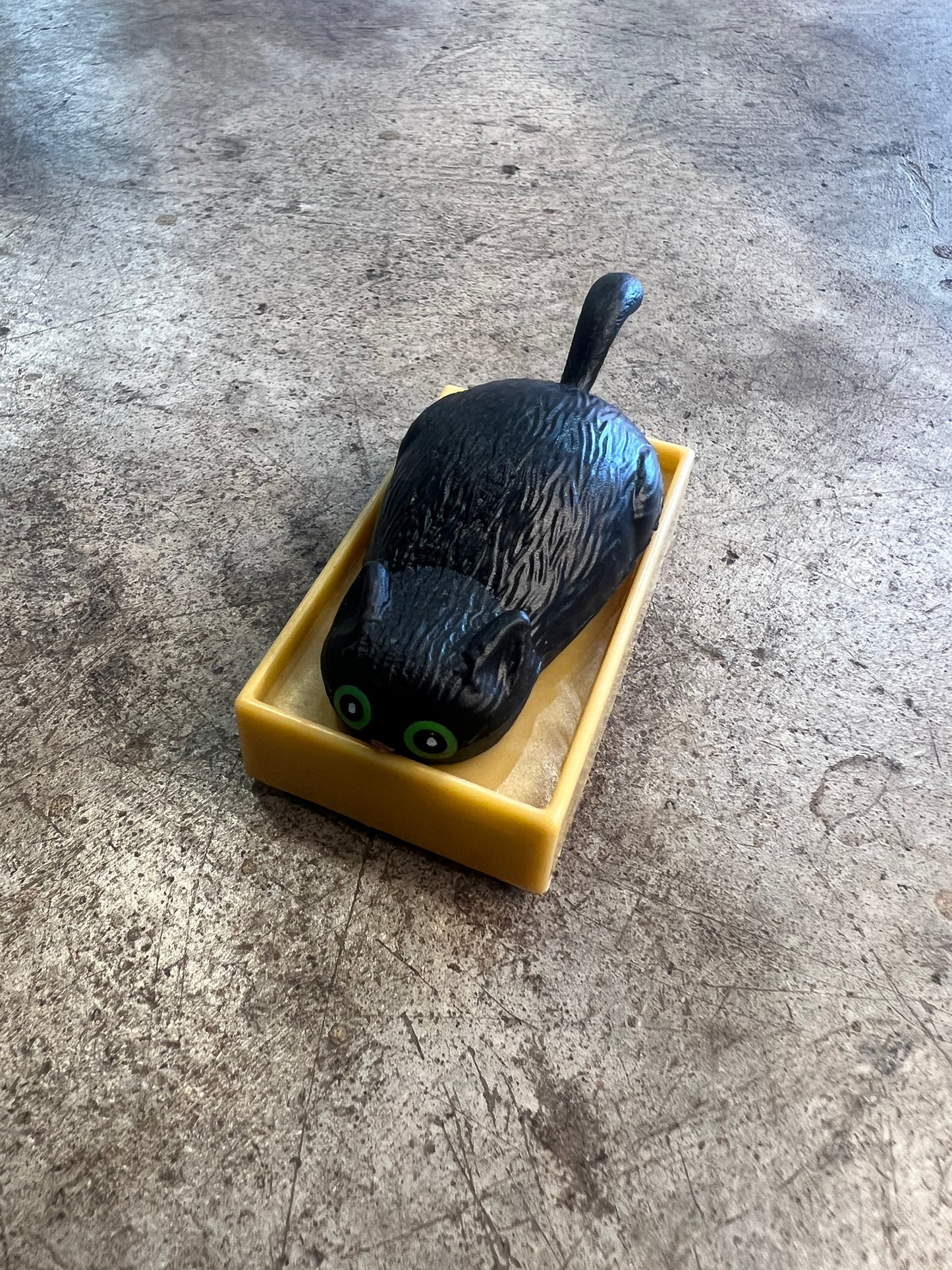 Racing Cats in a Box