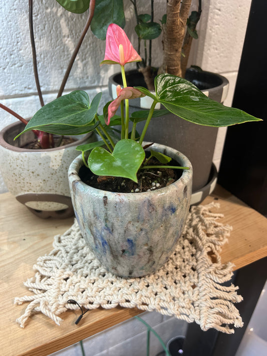 7x7 Macrame Plant Doily