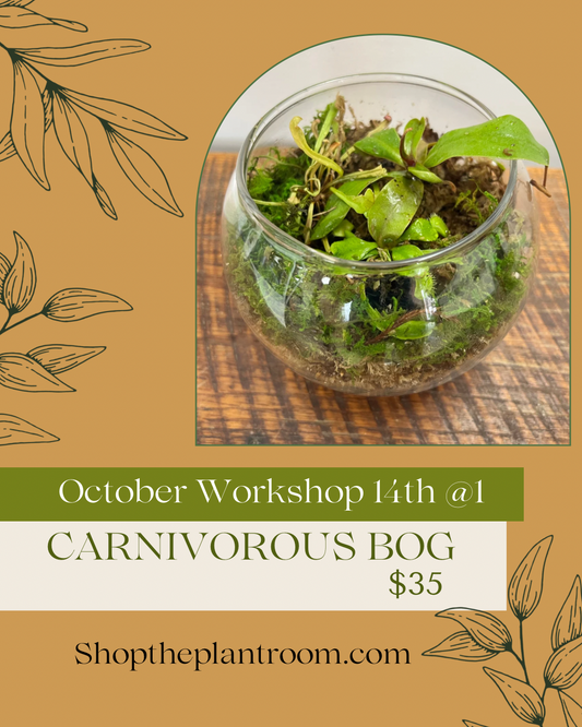 Carnivorous Plant Bog | October 14th @1pm