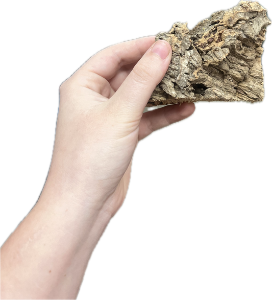 Mini Cork Bark Flat (Under 5")