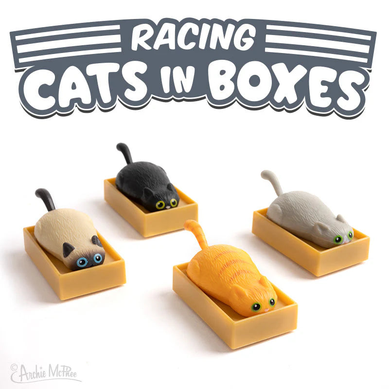 Racing Cats in a Box