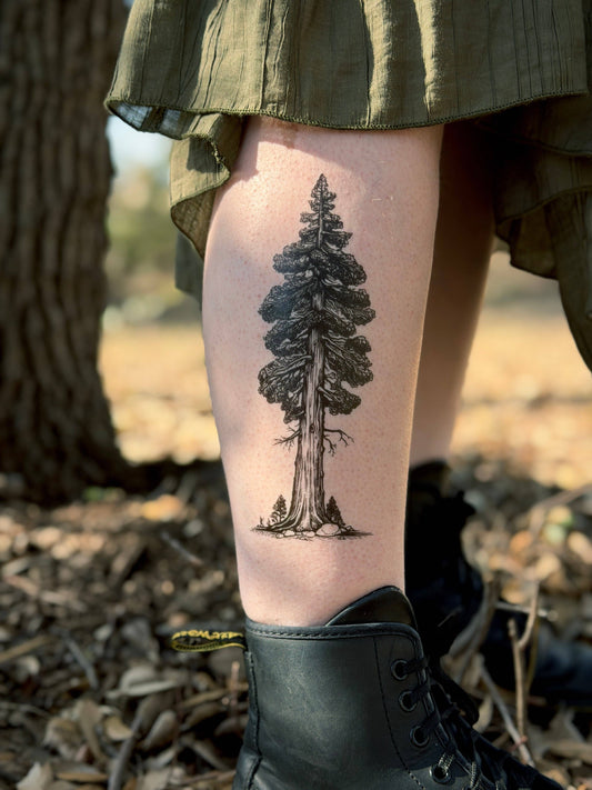 Redwood Temporary Tattoo