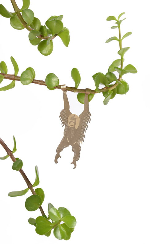 Plant Animal - Orangutan, brass plant hugger pal