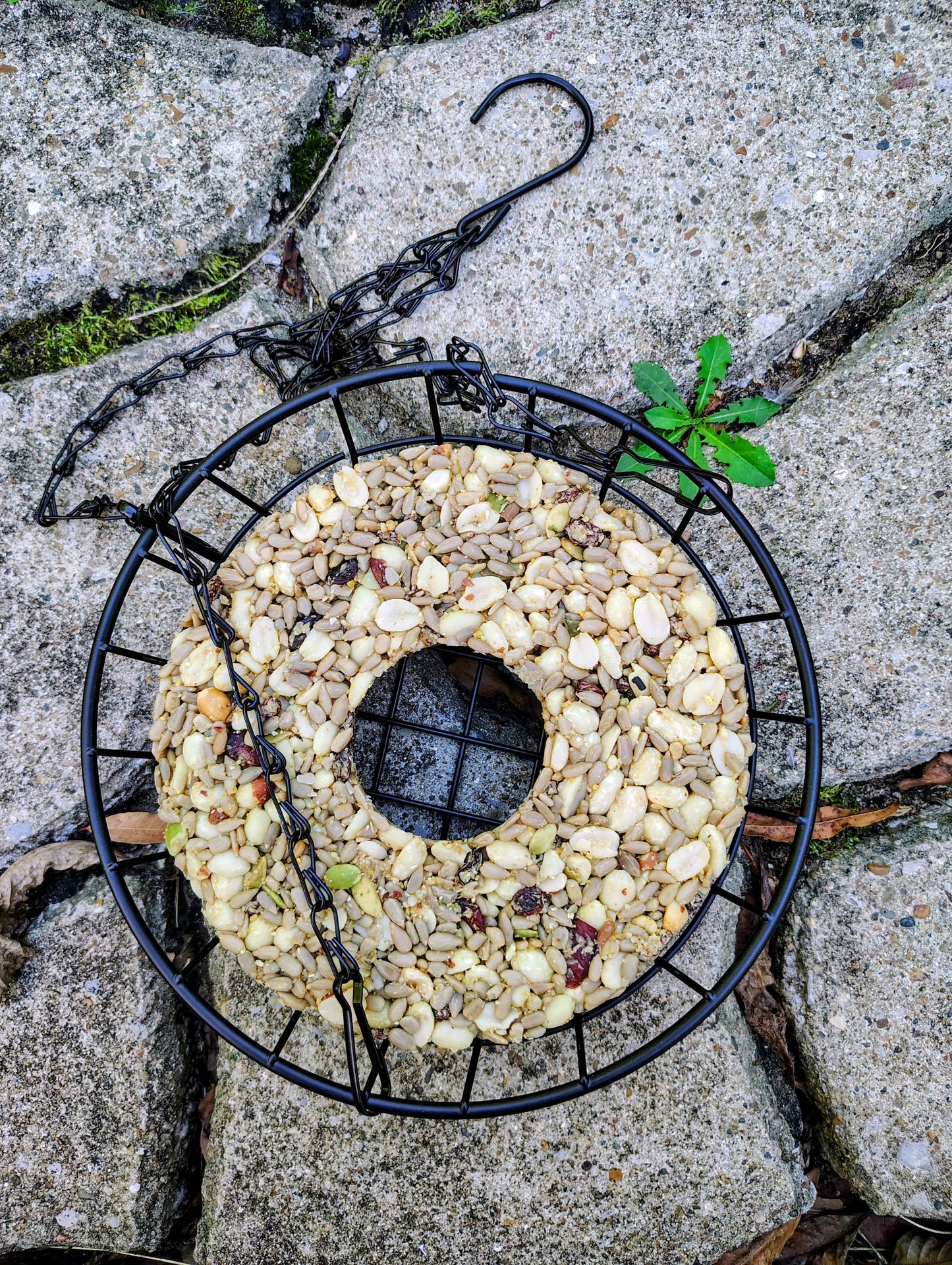 Birdseed Wreath (Woodpecker Snack)