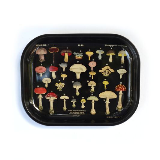 Small Metal Black Mushroom Ritual Tray / Rolling Tray