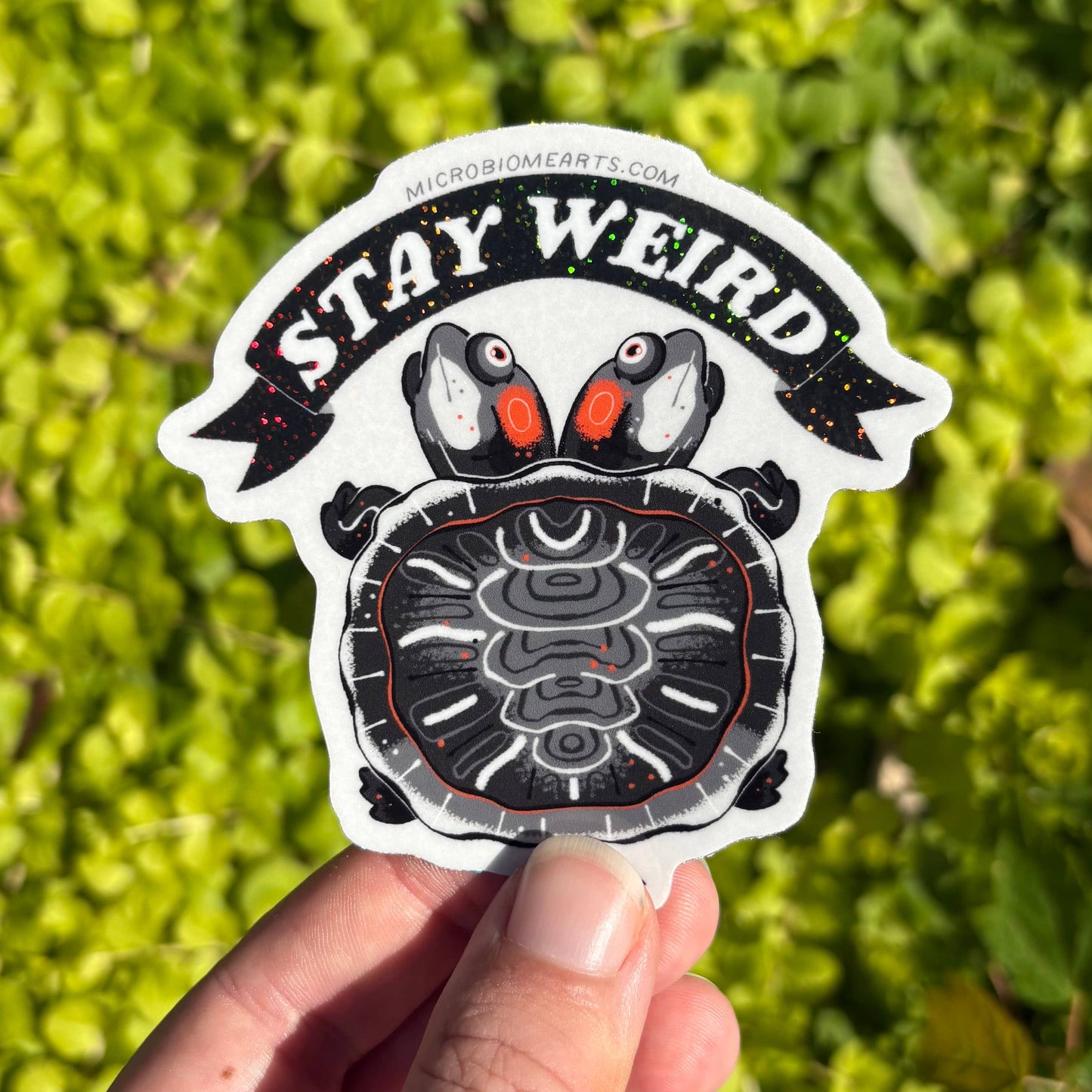 Stay Weird 3” Two Headed Turtle Holographic Sticker