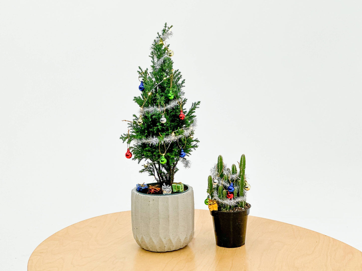 Plant Decoration Kit With Working Christmas Lights