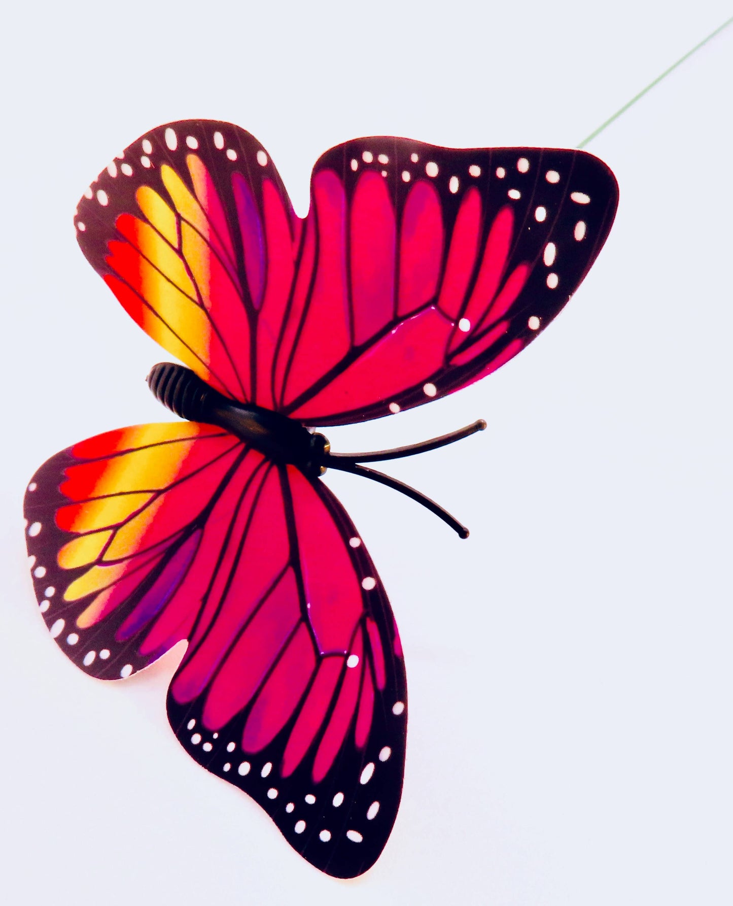 Butterfly on a Wire Stick