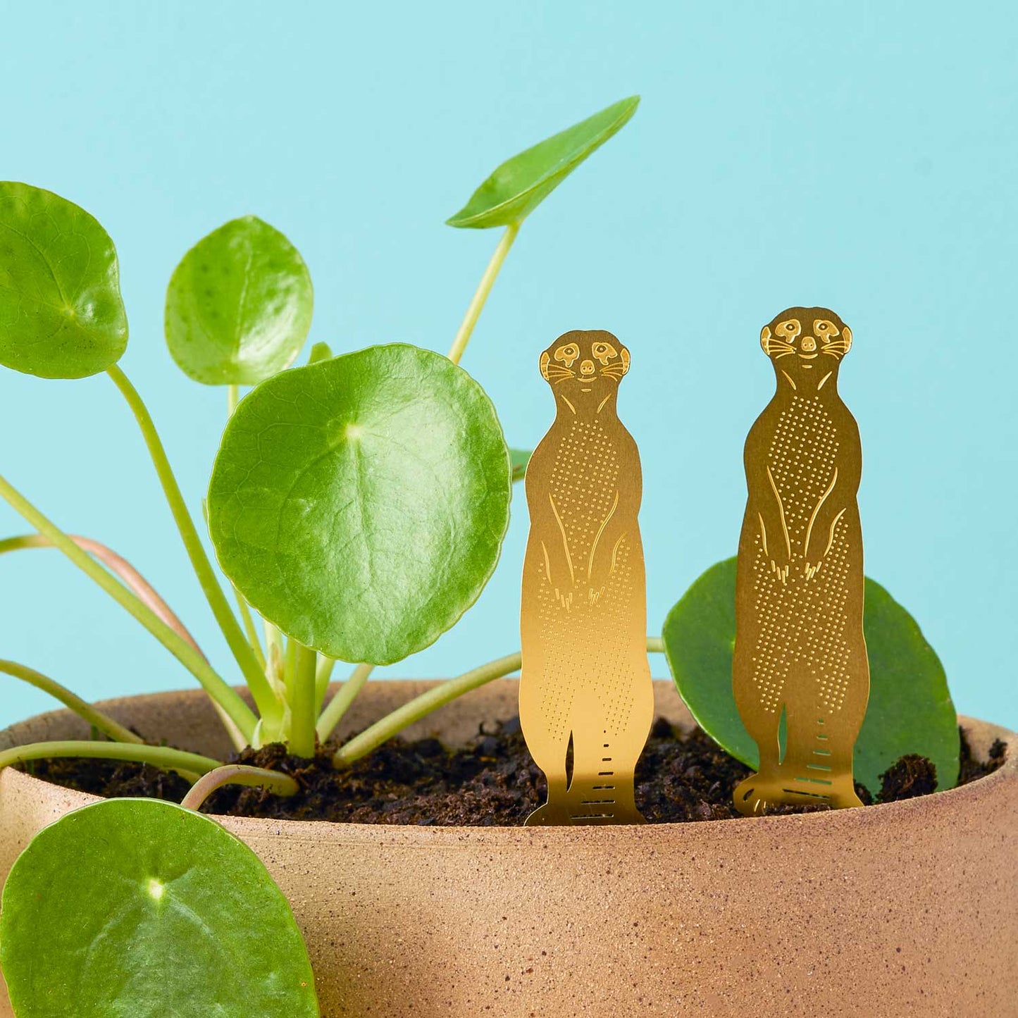 Plant Animal  Meerkat, terrarium and plant marker decoration