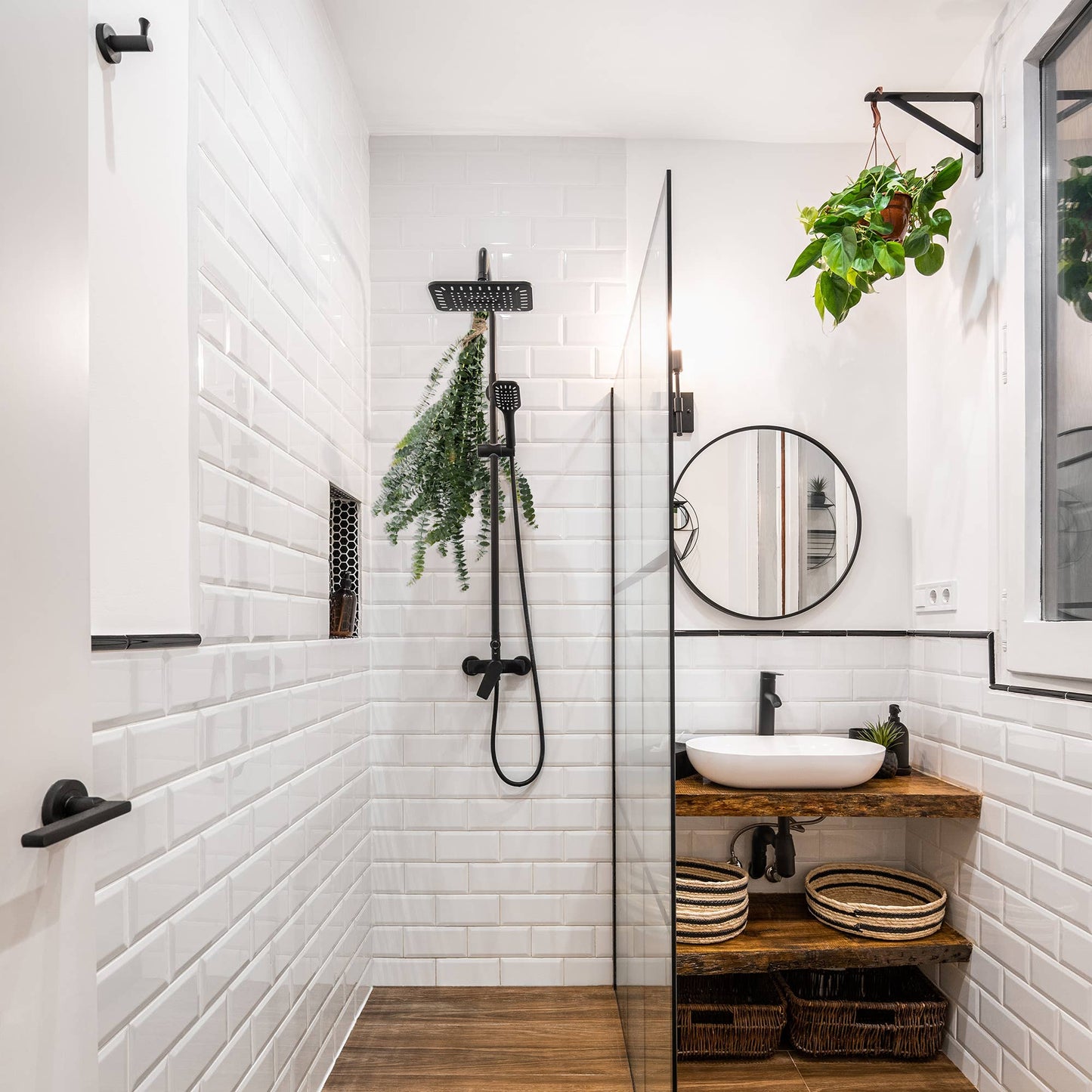 Fresh Baby Eucalyptus Pulverulenta 10 Stems Bunch