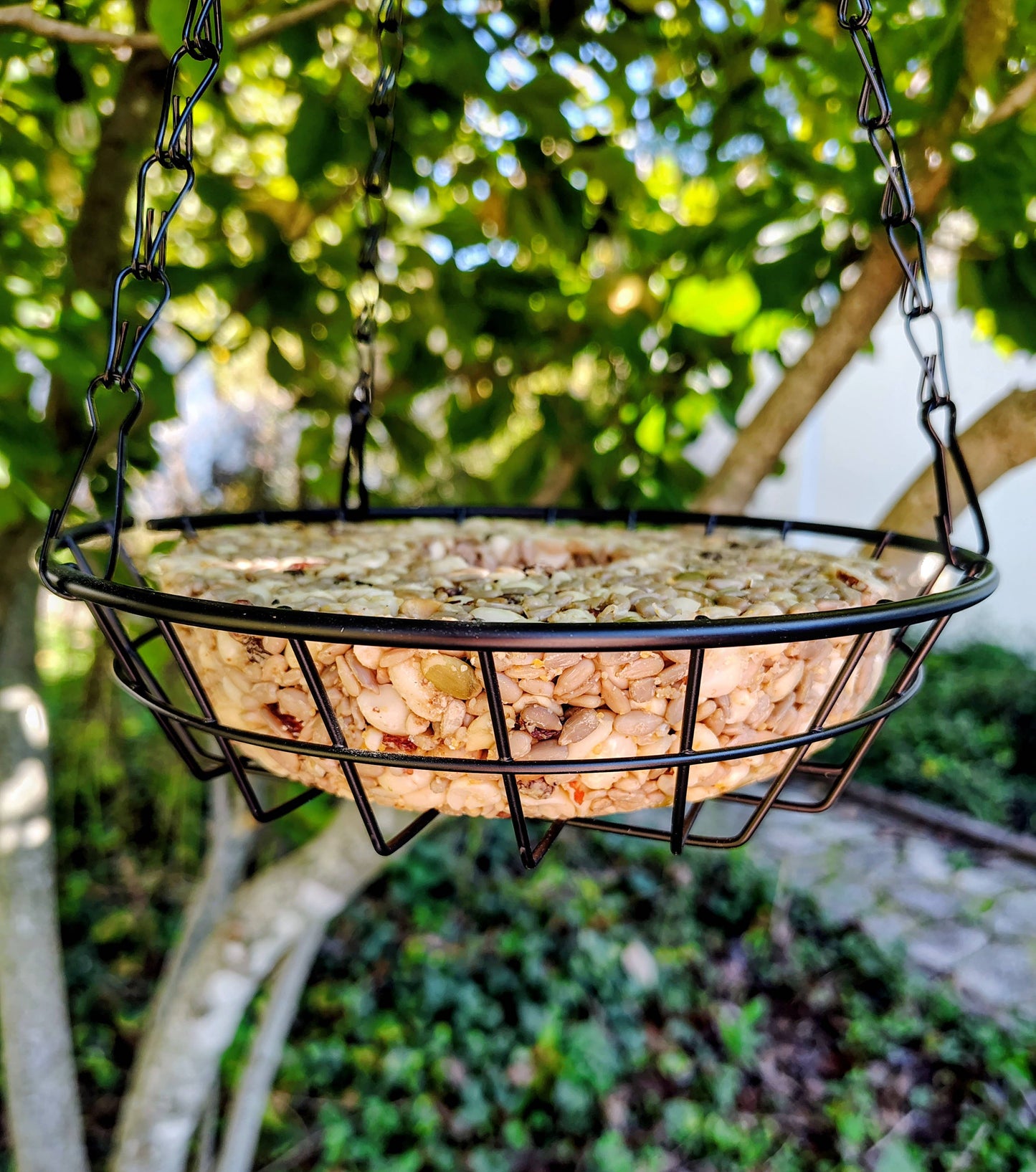 Birdseed Wreath (Woodpecker Snack)
