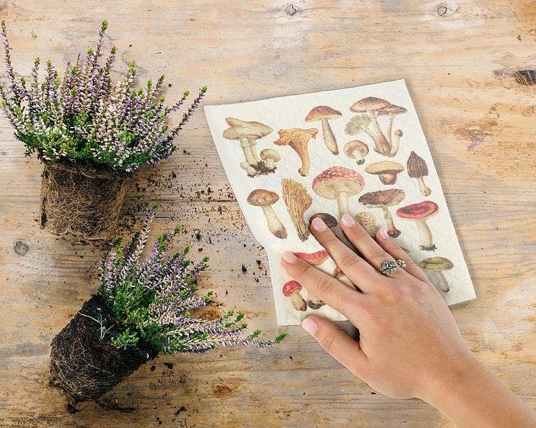Mushrooms Dishcloth-6.75x7.5"L