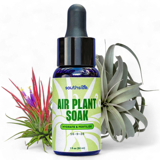 Air Plant Fertilizer - Spray and Soak: 1 oz