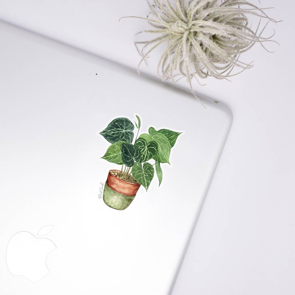 Anthurium Clear Sticker House Plant Plant Shop Products