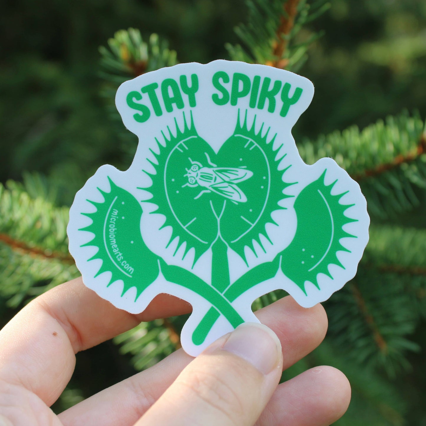 Stay Spiky Plant 3” Sticker