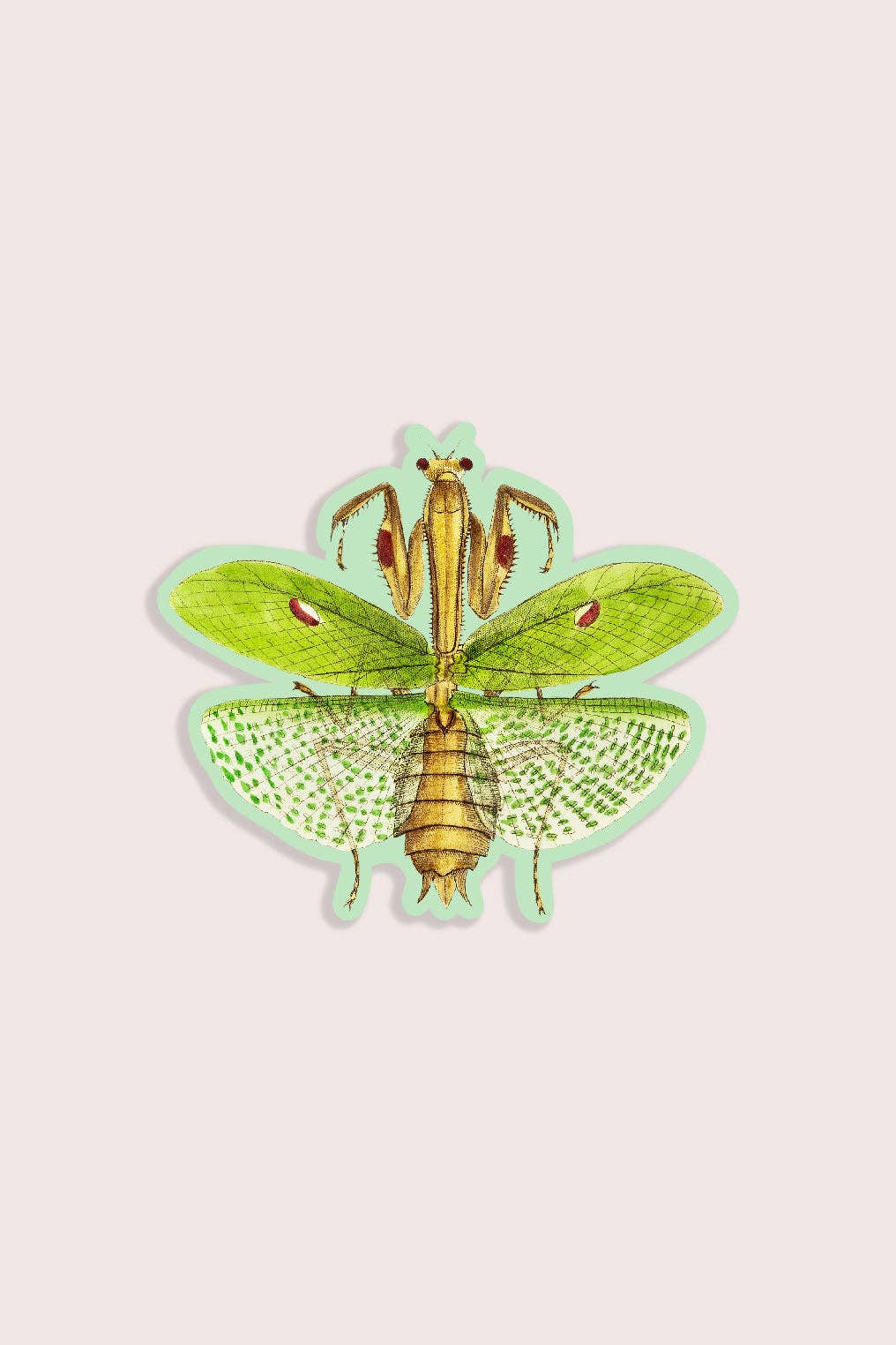 Meditative Mantis - Gap Filler Sticker