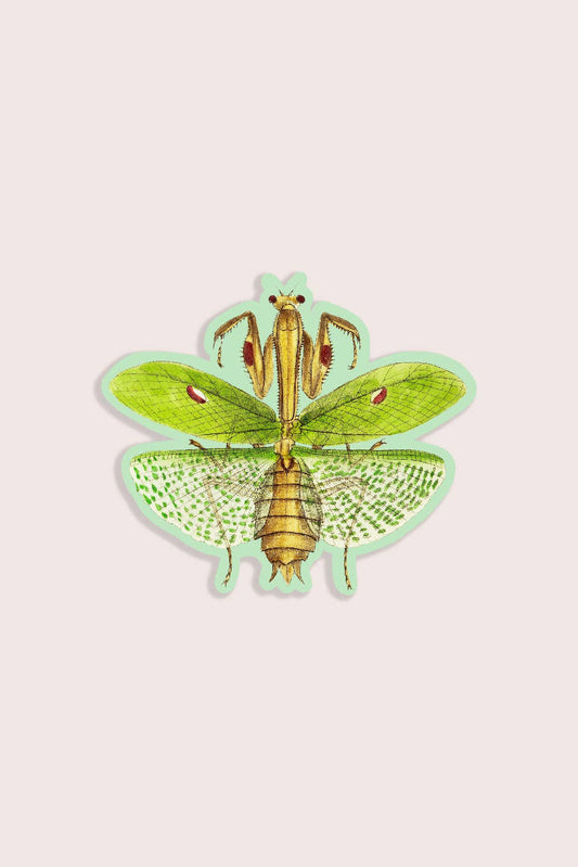 Meditative Mantis - Gap Filler Sticker