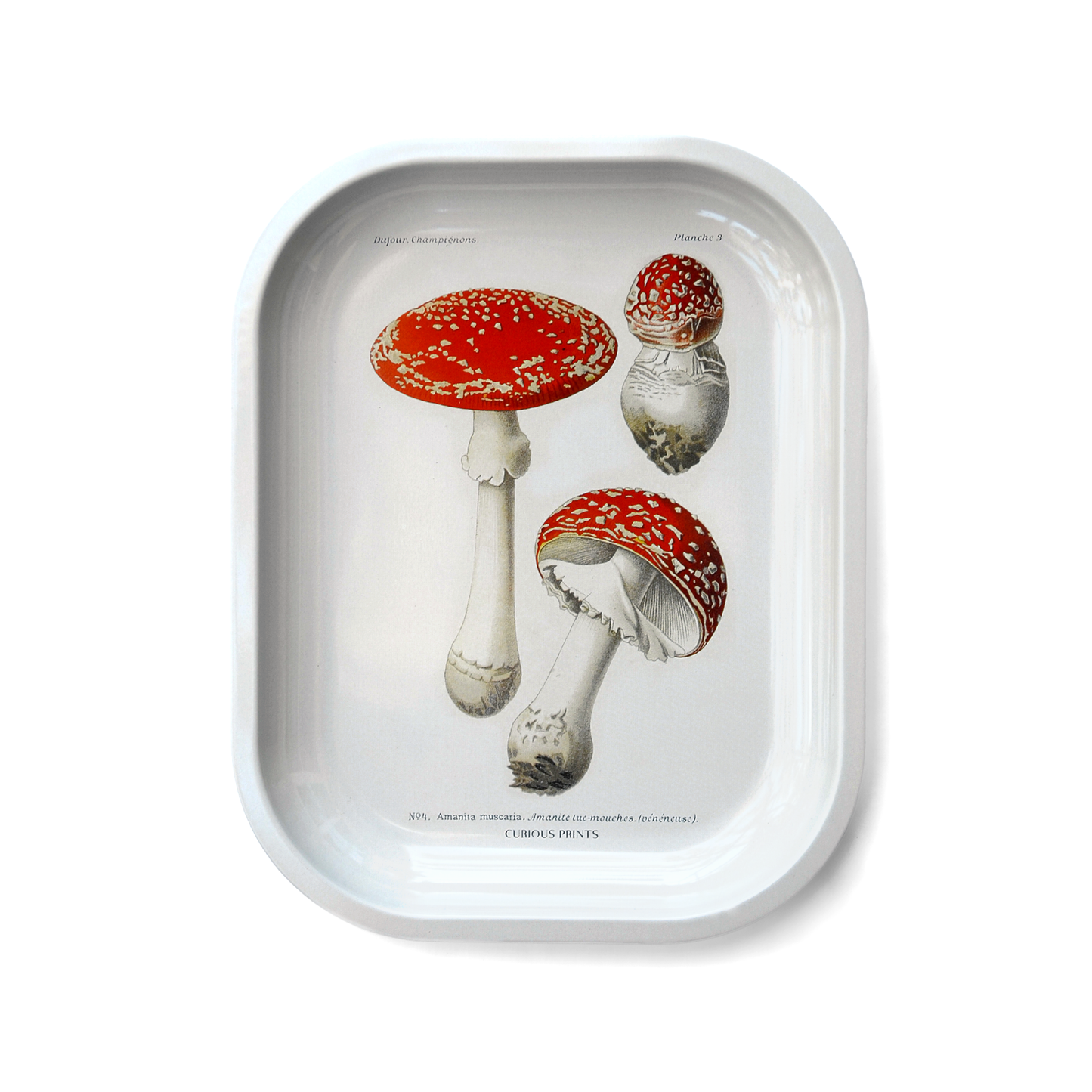Small Metal Magic Mushroom Catchall Tray / Rolling Tray