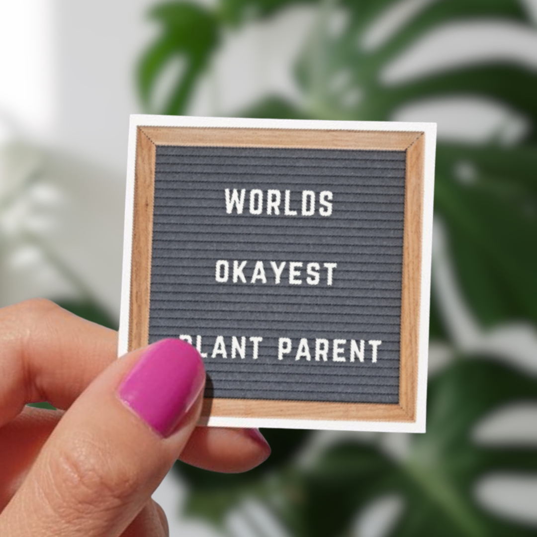 Worlds Okayest Plant Parent Felt Board Sticker
