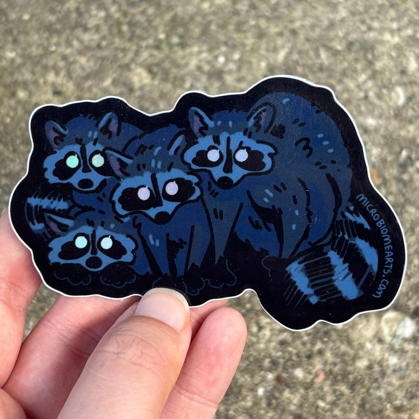Glowing Eye Raccoons Holo 3.5” Sticker