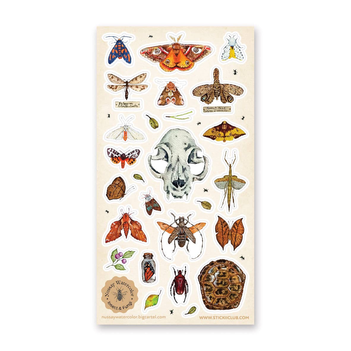 Nature Study Sticker Sheet