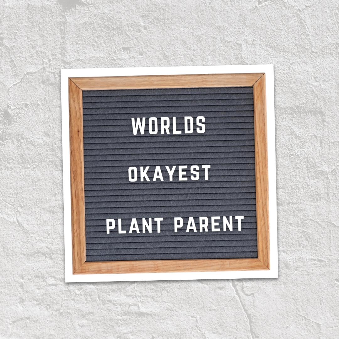 Worlds Okayest Plant Parent Felt Board Sticker