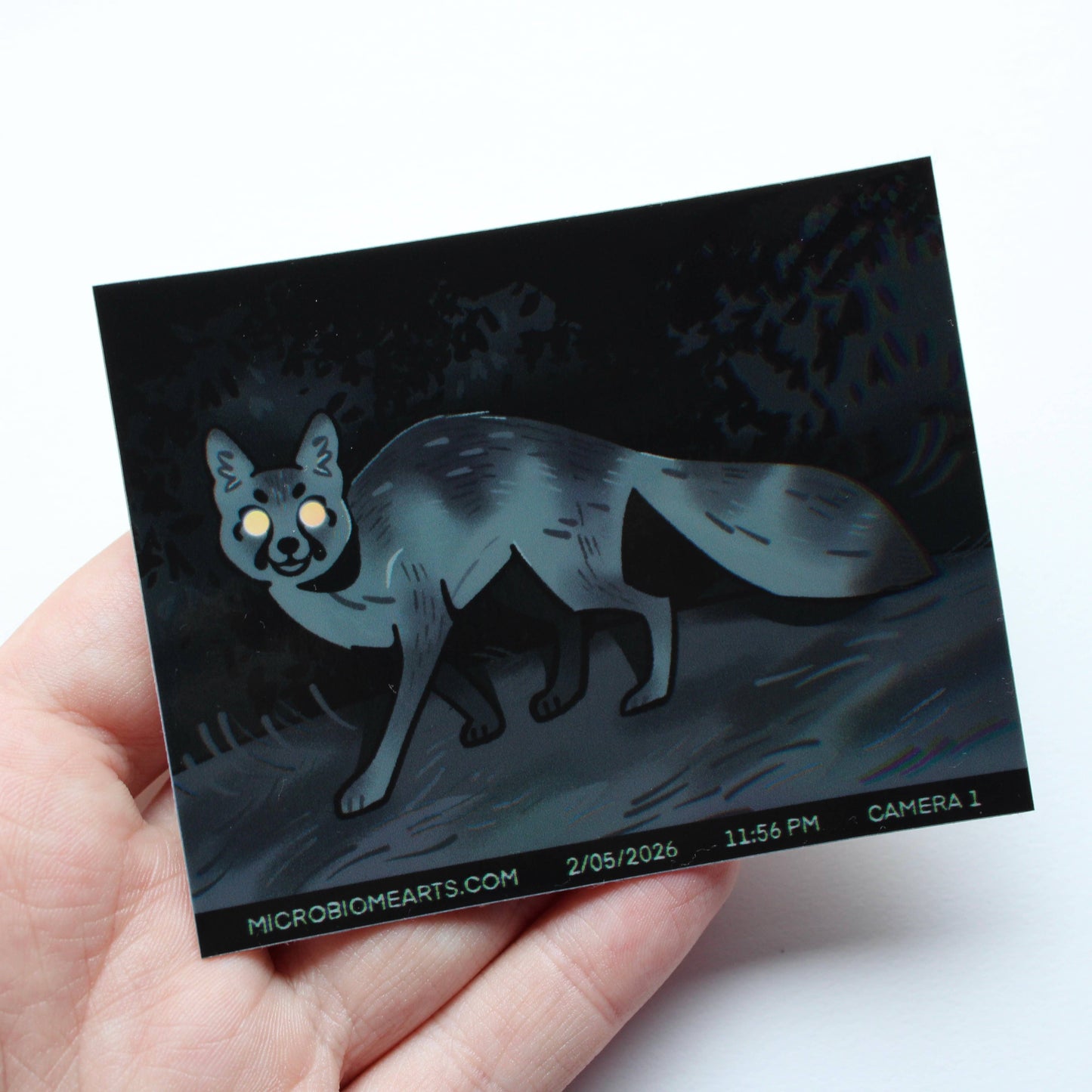 Trail Cam Fox Holo 3.5” Sticker
