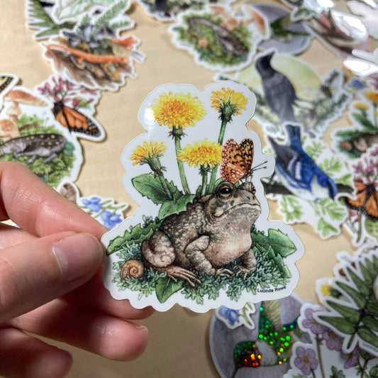 Vinyl Sticker - Fowler's Toad With Dandelions And Butterfly
