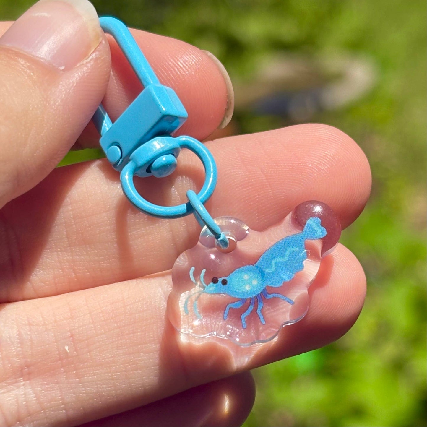 Miniature Shrimp 1” Acrylic Charms