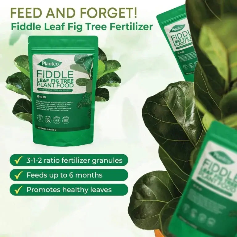 PLANTCO Fiddle Leaf Fig Plant Food (½ lb)