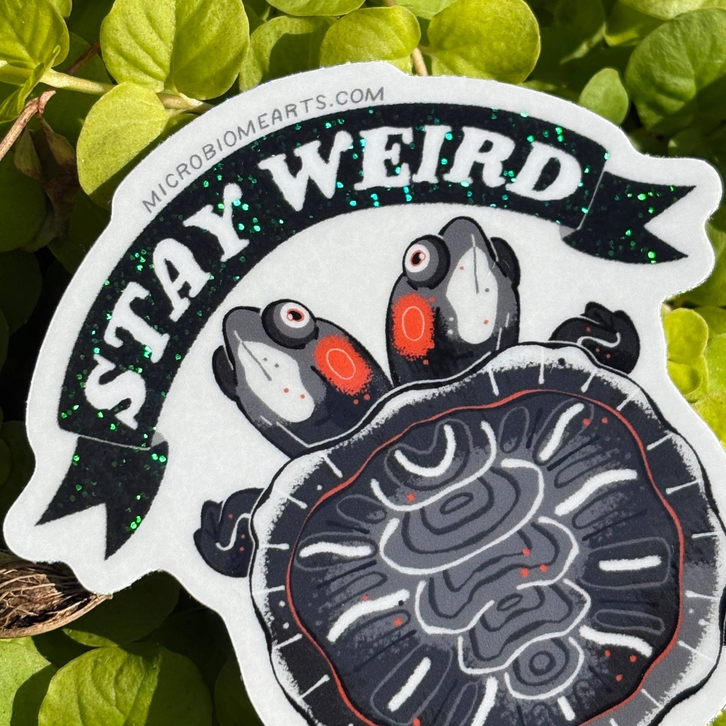 Stay Weird 3” Two Headed Turtle Holographic Sticker